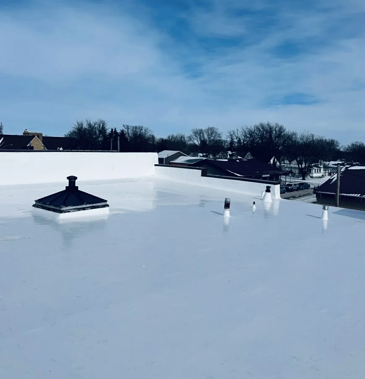 PVC membrane roofing